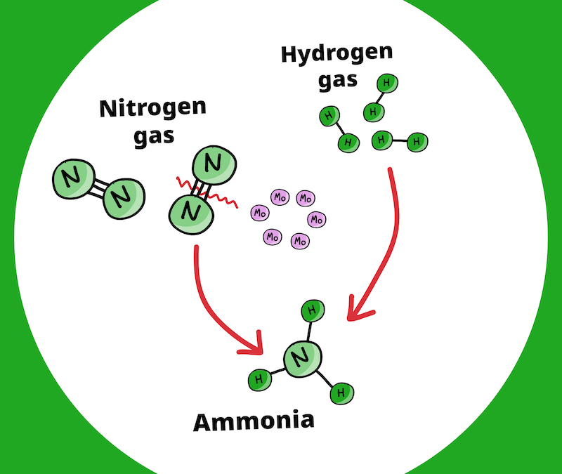 Eco-friendly ammonia production for fertilizers and alternative fuel