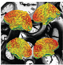 "abstract image of clocks and brains"