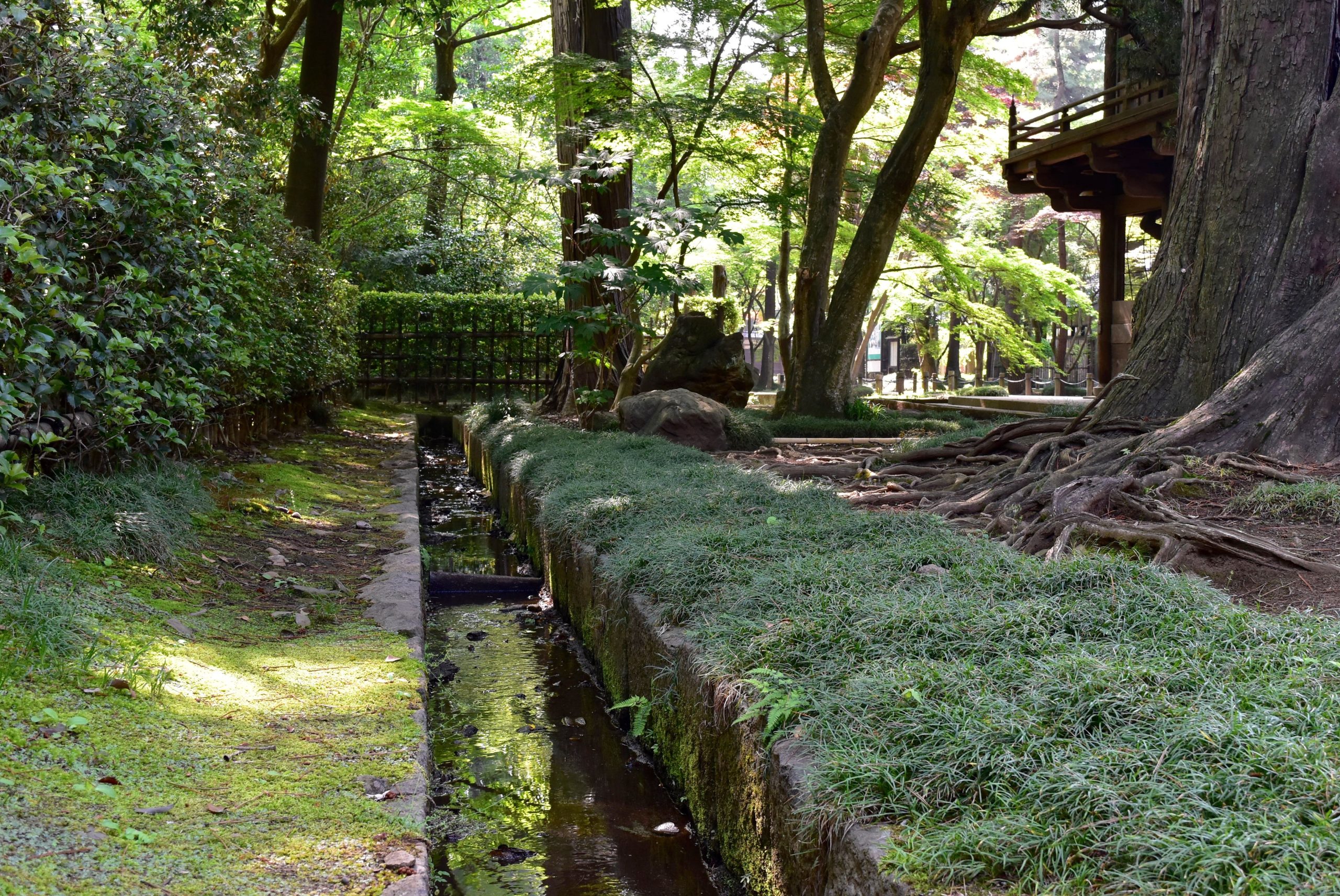 Nobidome Irrigation Canal