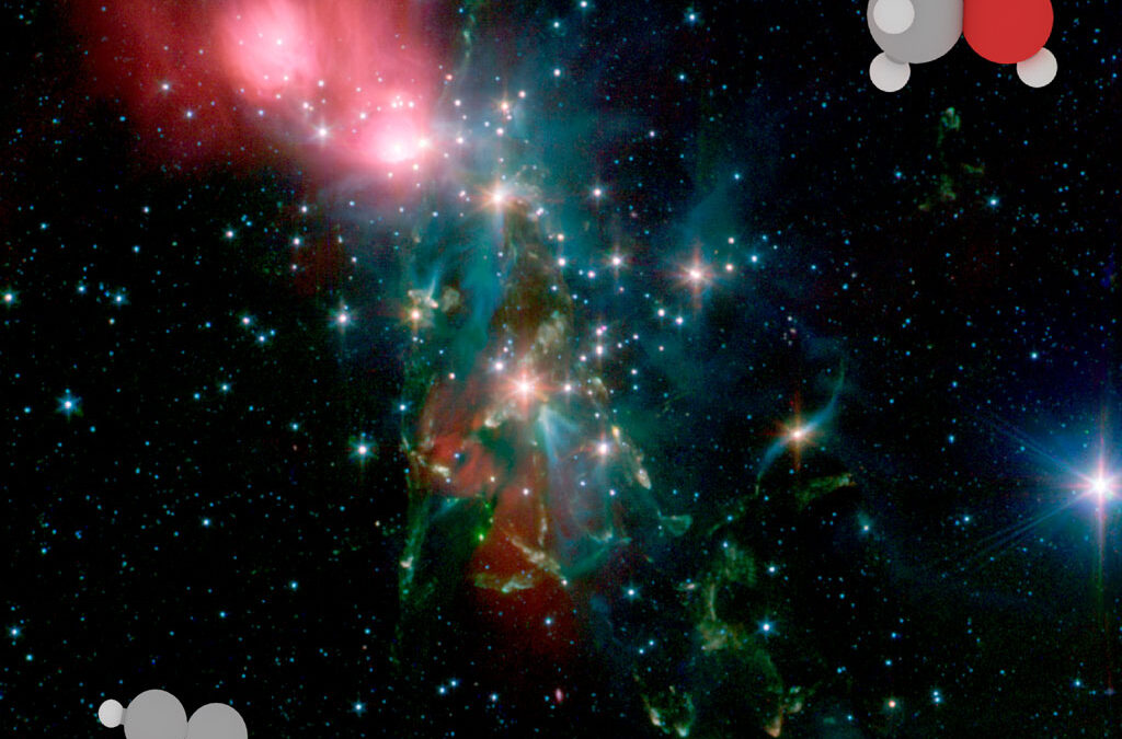 Protostars that exhibit large diversity in organic compounds
