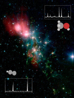 Protostars that exhibit large diversity in organic compounds