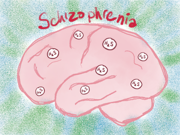 Schizophrenia biomarker (hydrogen sulfide) in human hair