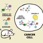 A new alpha-particle treatment for multiple cancers