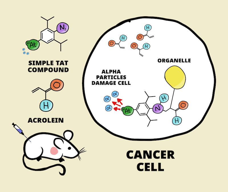 A new alpha-particle treatment for multiple cancers