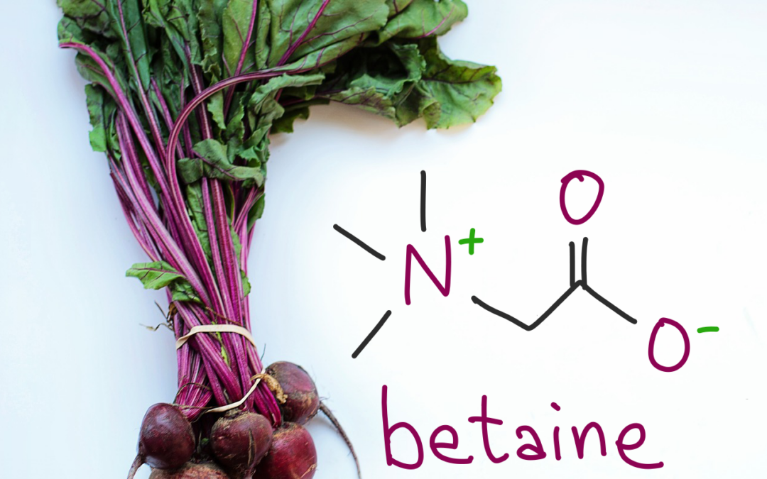 Boosting betaine may be a treatment for schizophrenia