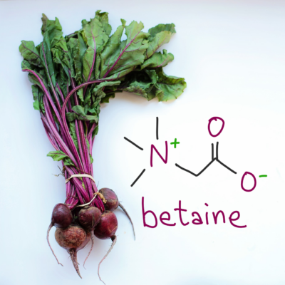Boosting betaine may be a treatment for schizophrenia