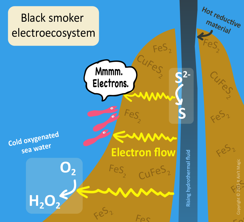 Black smokers and electroecosystems