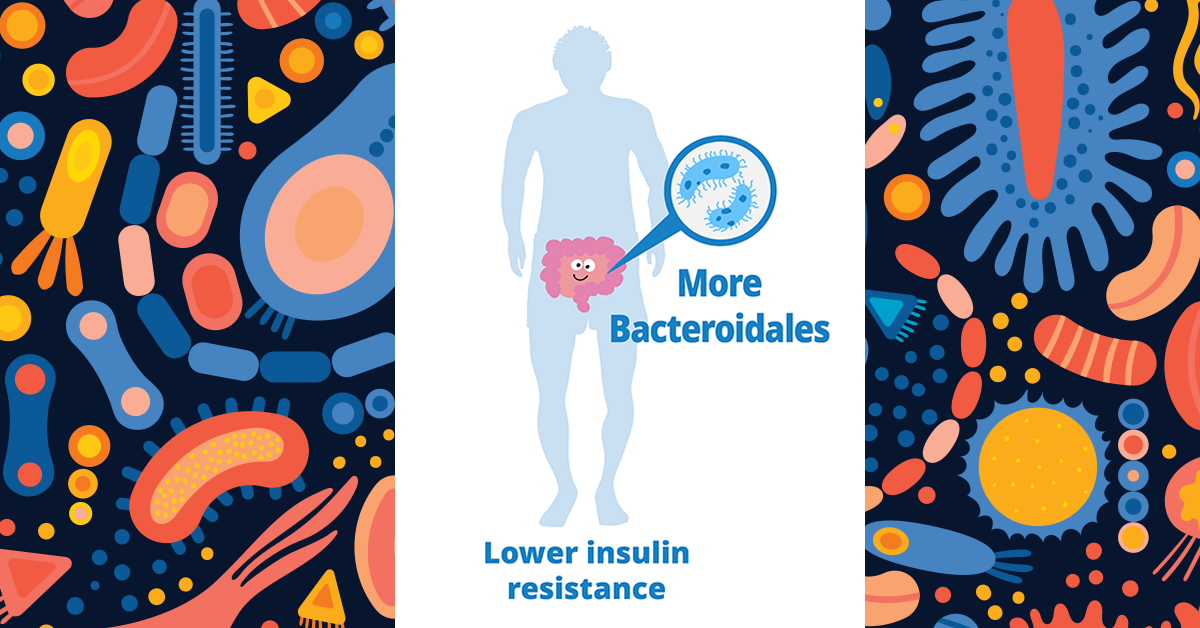 Las bacterias intestinales reducen la resistor a la insulina, protegen contra la diabetes