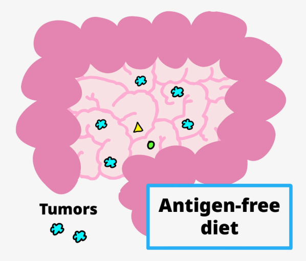 Protein antigens in meat, milk, and other foods suppress gut tumors