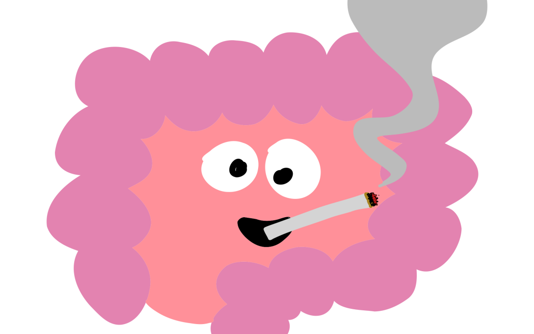 Smoker gut bacteria reduce bowel inflammation in ulcerative colitis