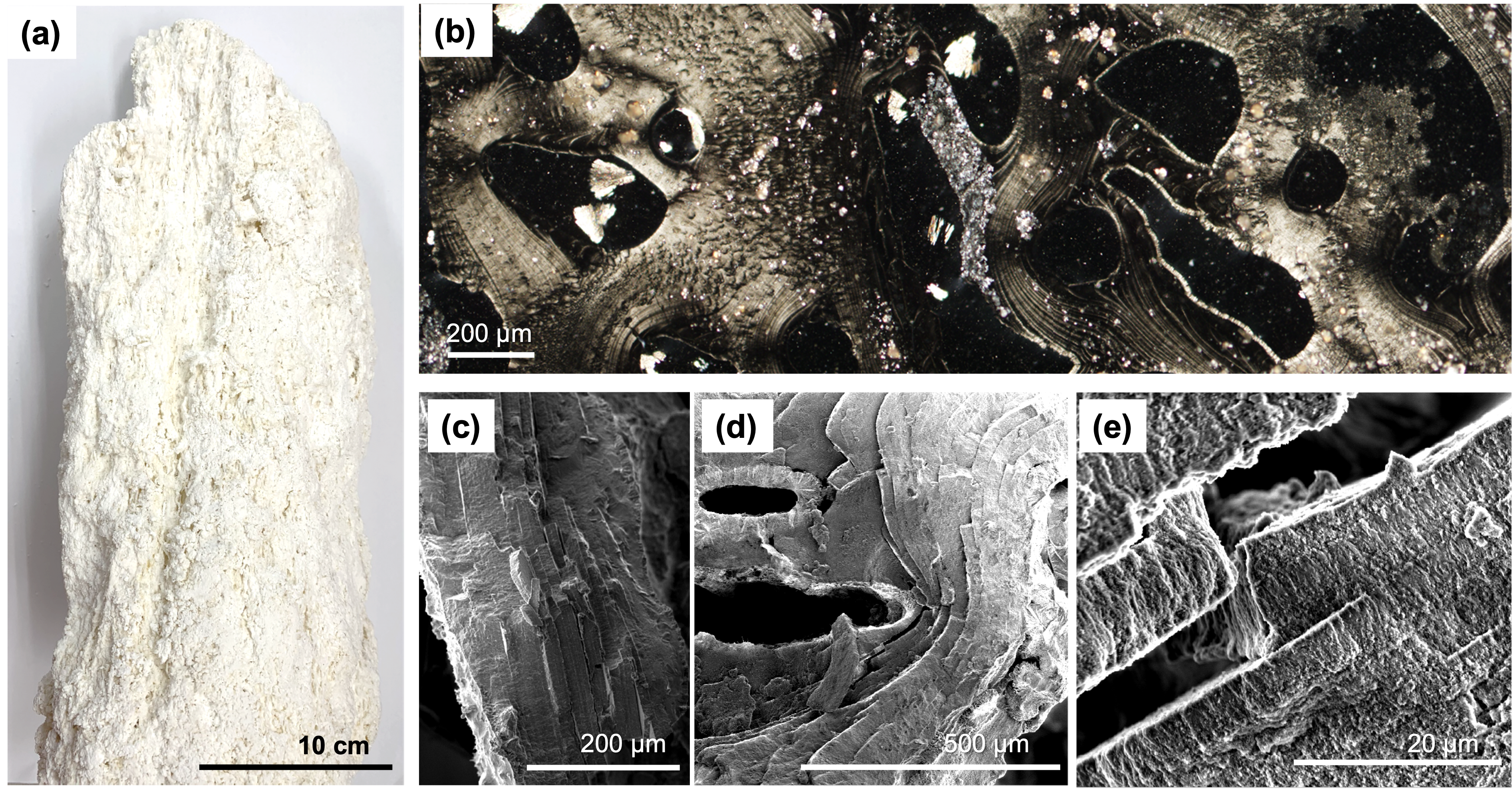 Nanostructures in the deep ocean