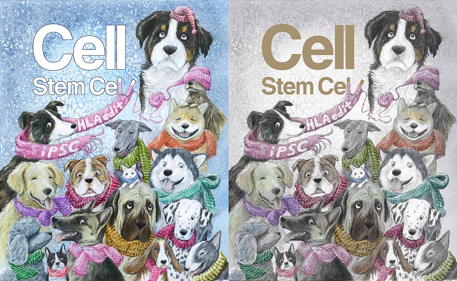 cover of cell stem cell