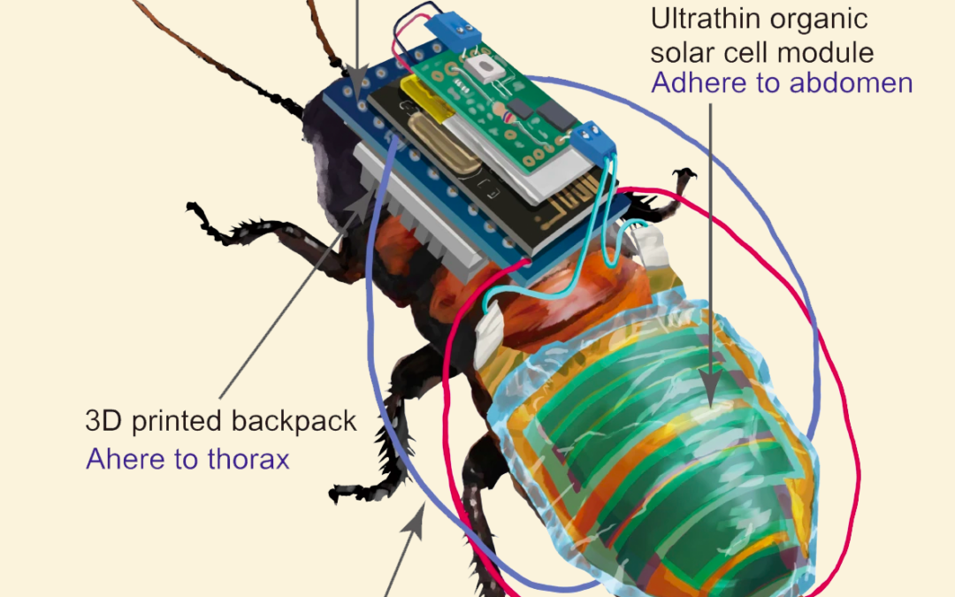 Cyborg cockroaches to the rescue!