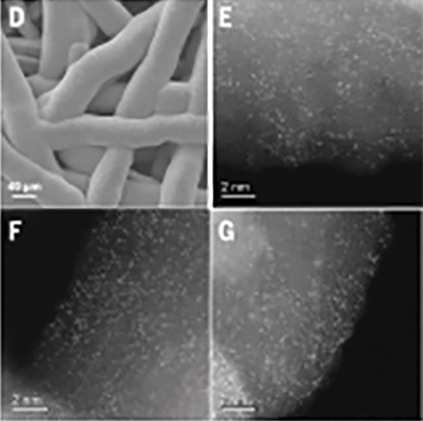 microscope images of iridium oxide and manganese oxide