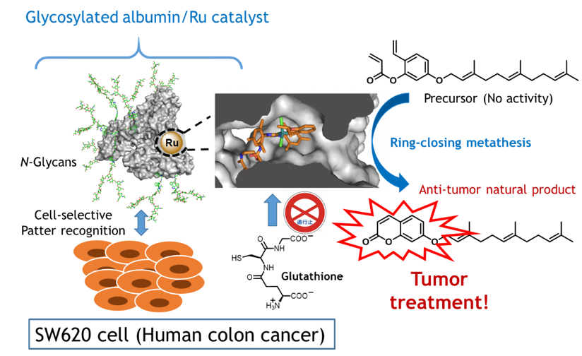 schematic for metalloenzyme targeting of cancer