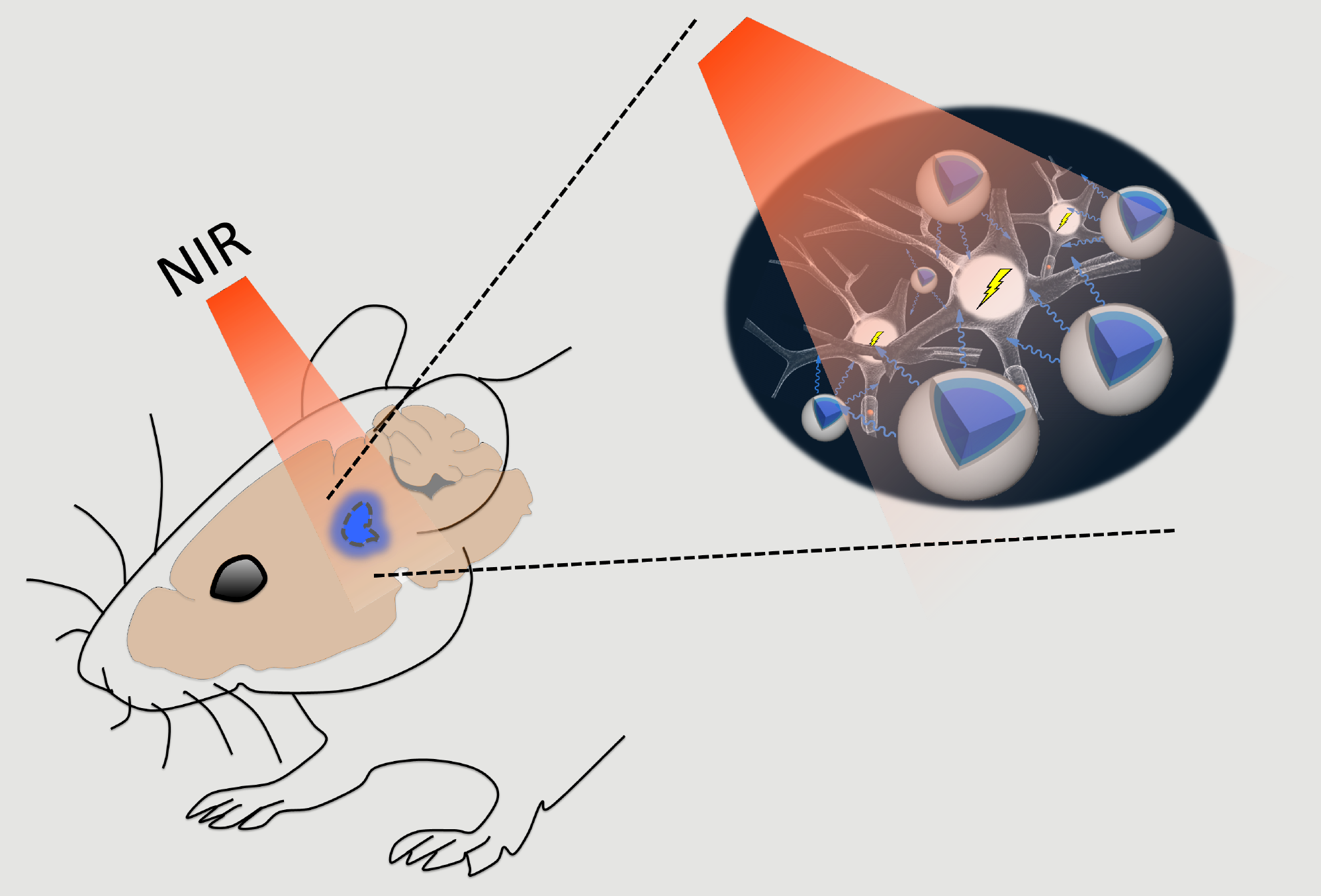 Deep-brain exploration with nanomaterials