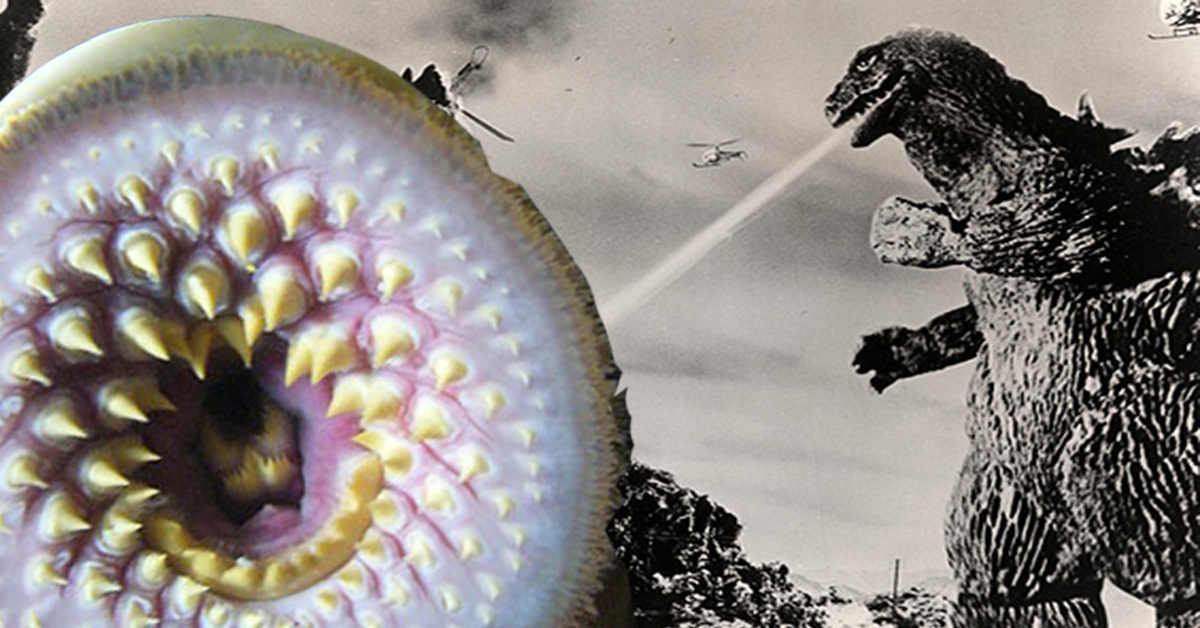 From evolutionary morphology to Godzilla