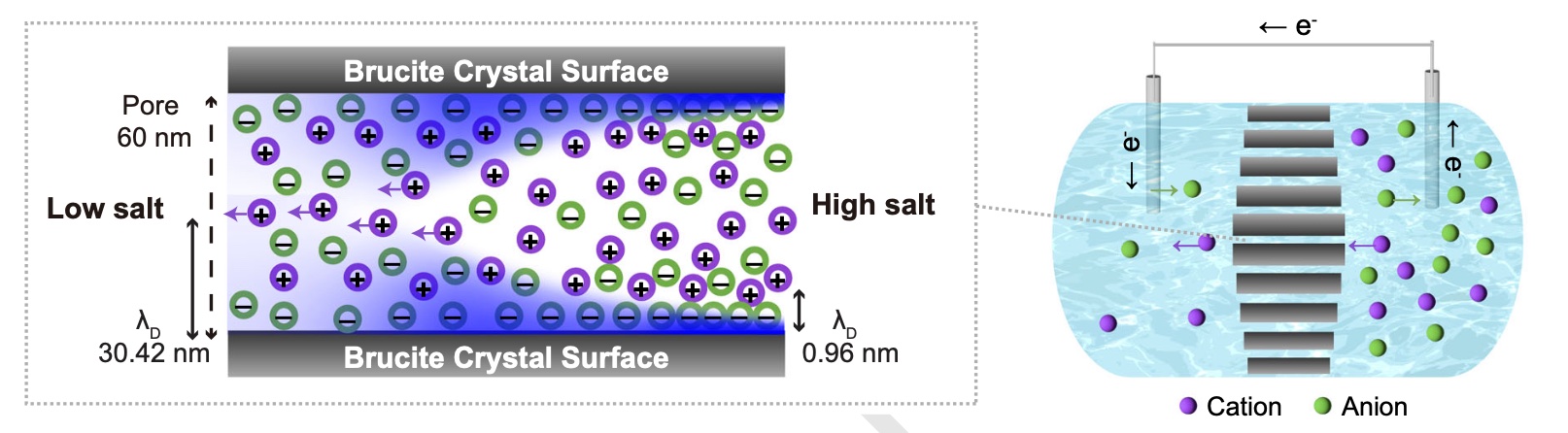 Formation of ion selective channels 