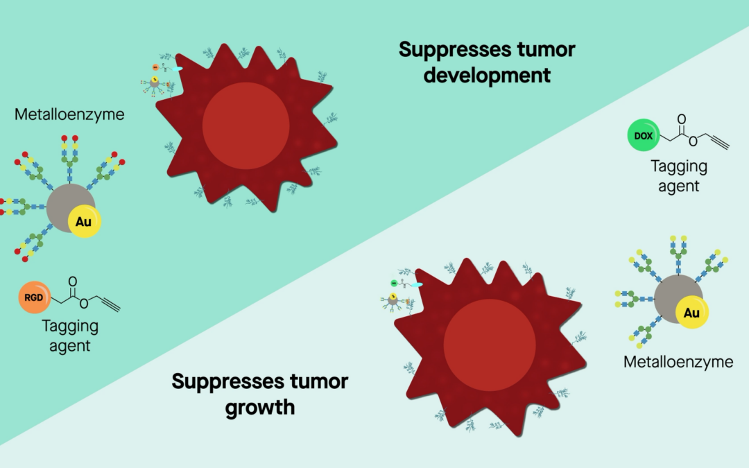 Cancer cells killed with artificial glycosylated metalloenzyme