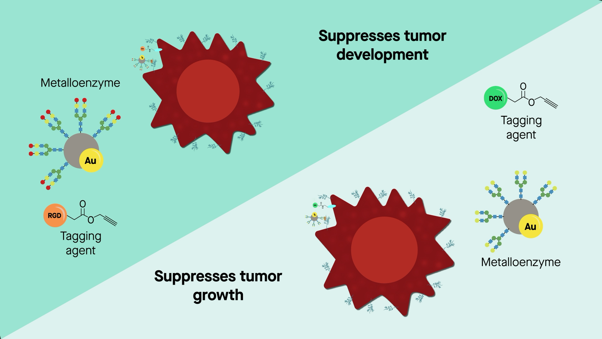 Cancer cells killed with artificial glycosylated metalloenzyme