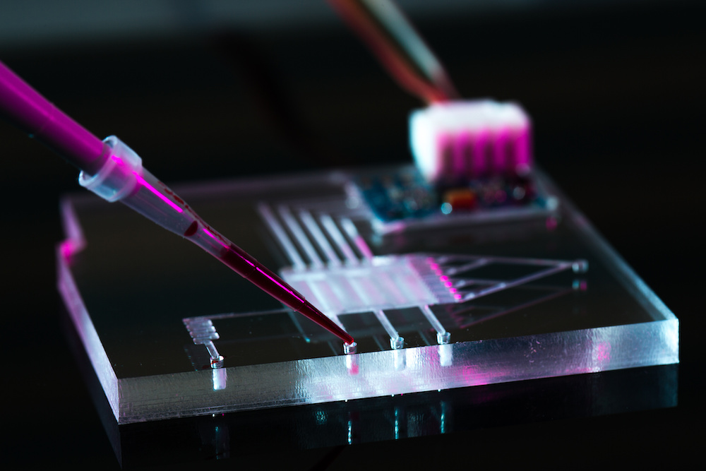 Brain tissue kept alive for weeks with new microfluidic device
