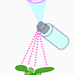 Nanocarrier spray: better crops without genetic modification