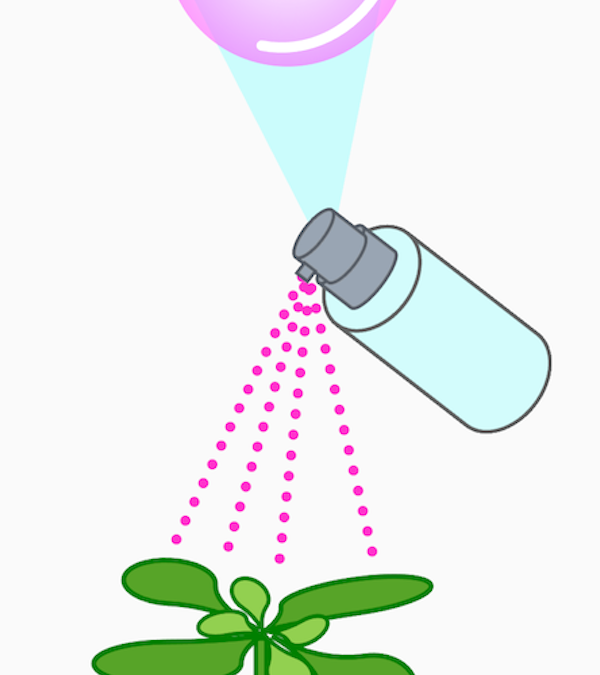 Nanocarrier spray: better crops without genetic modification