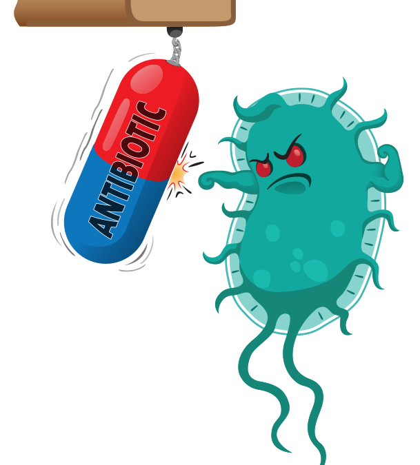 Bacterial drug resistance studied by robotic E. coli evolution