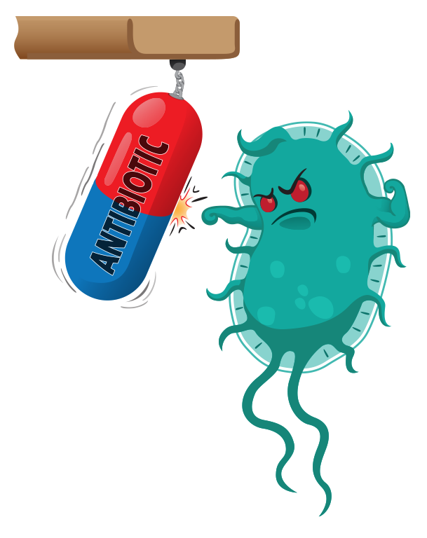 an antibiotic resistant bacterium