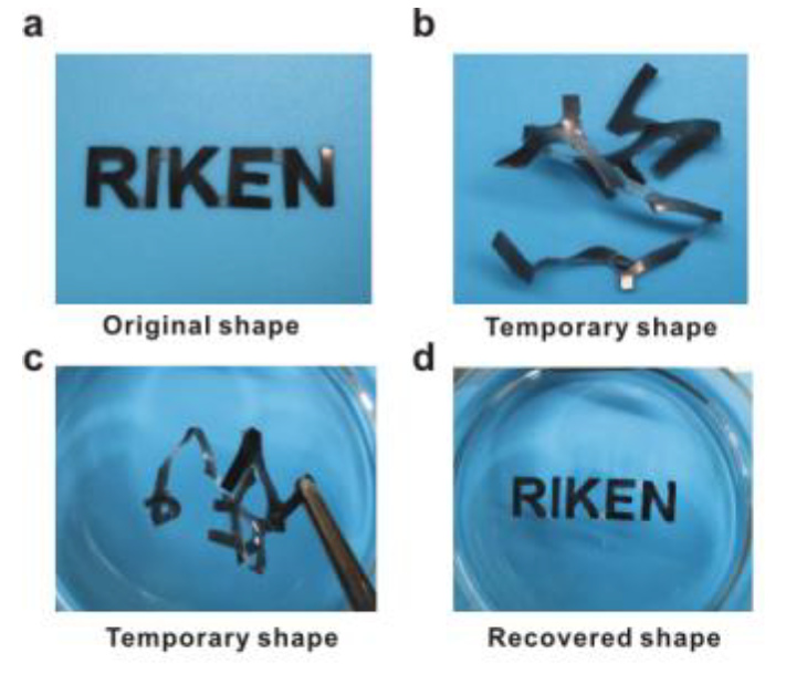 Scientists create new type of self-healing material