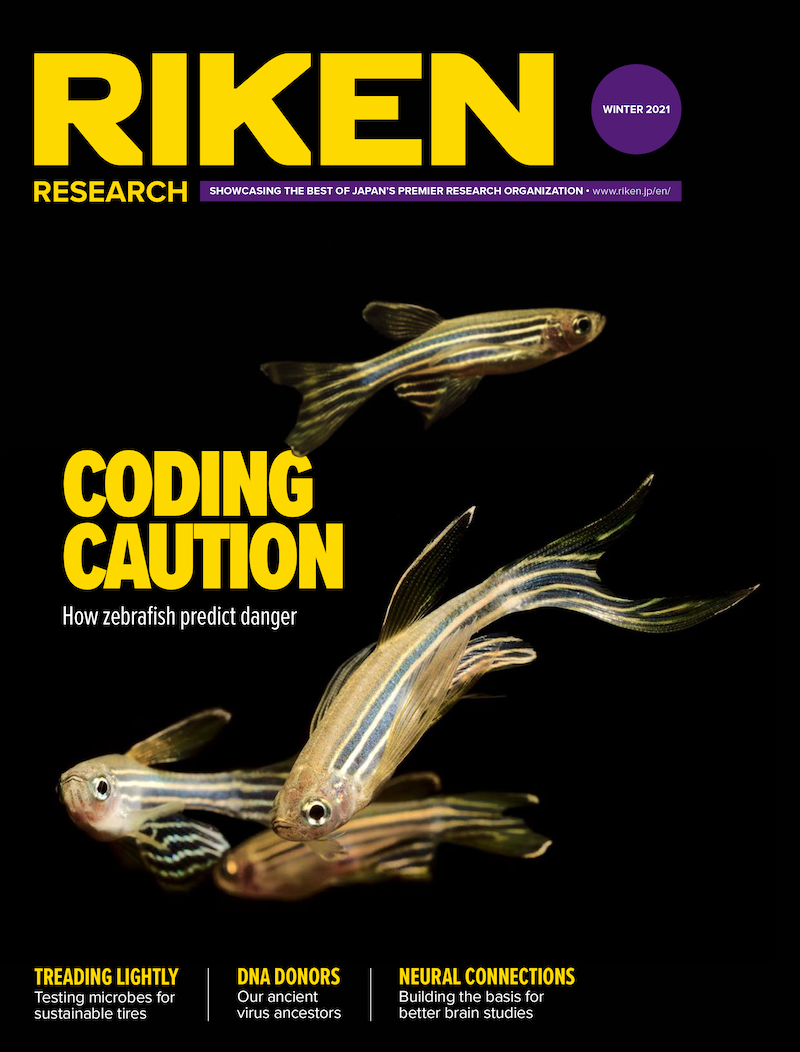 download the Fall 2021 issue of RIKEN Research