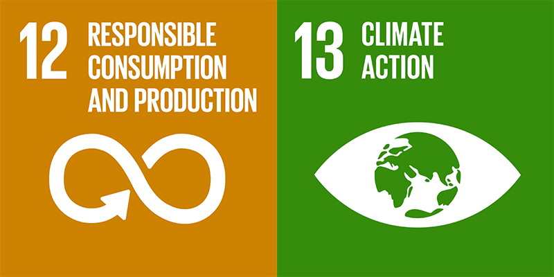 sustainable development goals 12 and 13