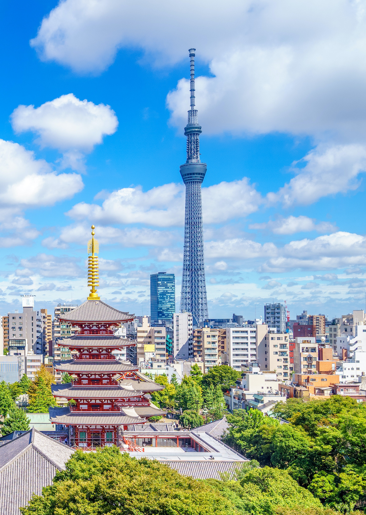 Ultraprecise clocks and the Tokyo Skytree verify Einstein’s theory of relativity