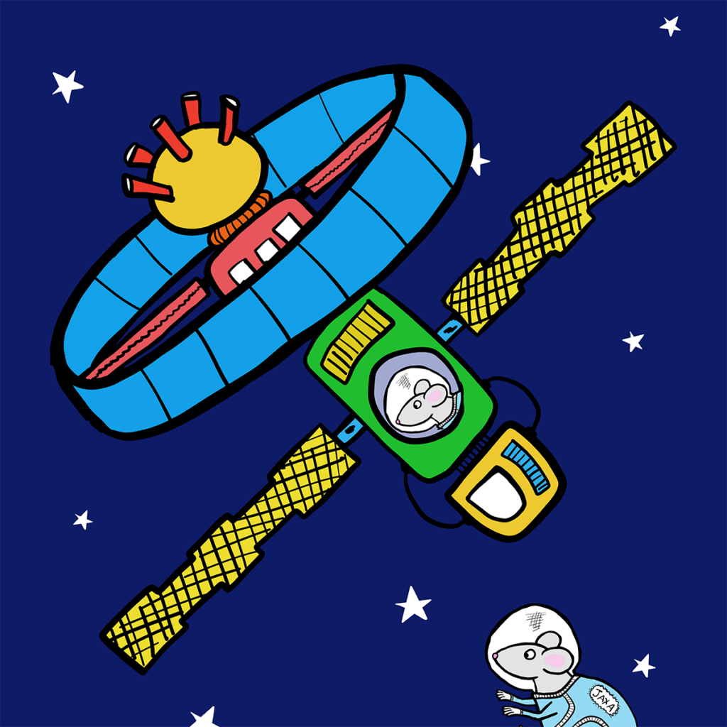 mouse thymuses protected by artificial gravity