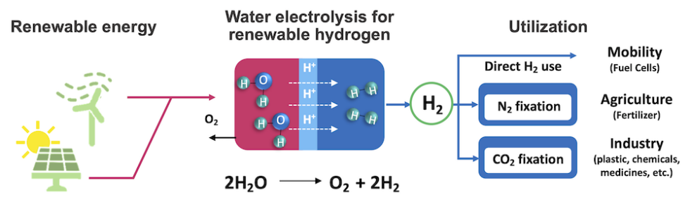 Green hydrogen production for fuel cells and fertilizers - It Ain't Magic