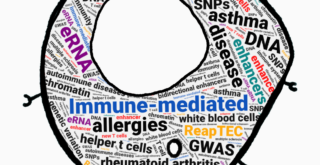 T cell word cloud